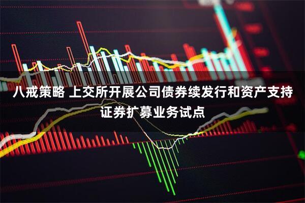 八戒策略 上交所开展公司债券续发行和资产支持证券扩募业务试点