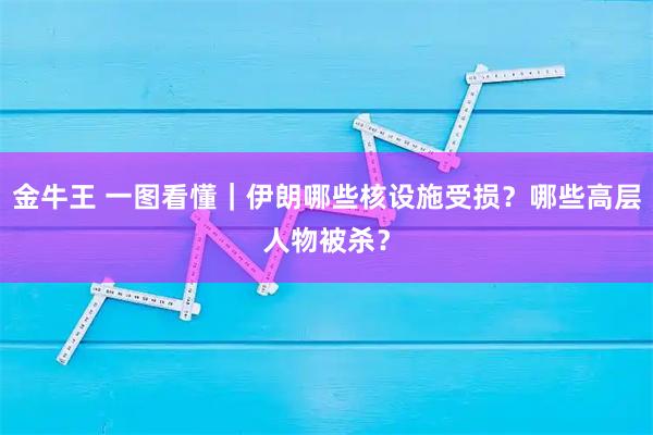 金牛王 一图看懂｜伊朗哪些核设施受损？哪些高层人物被杀？