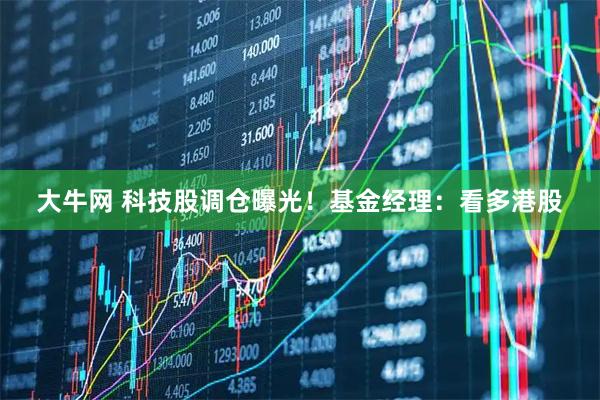 大牛网 科技股调仓曝光！基金经理：看多港股